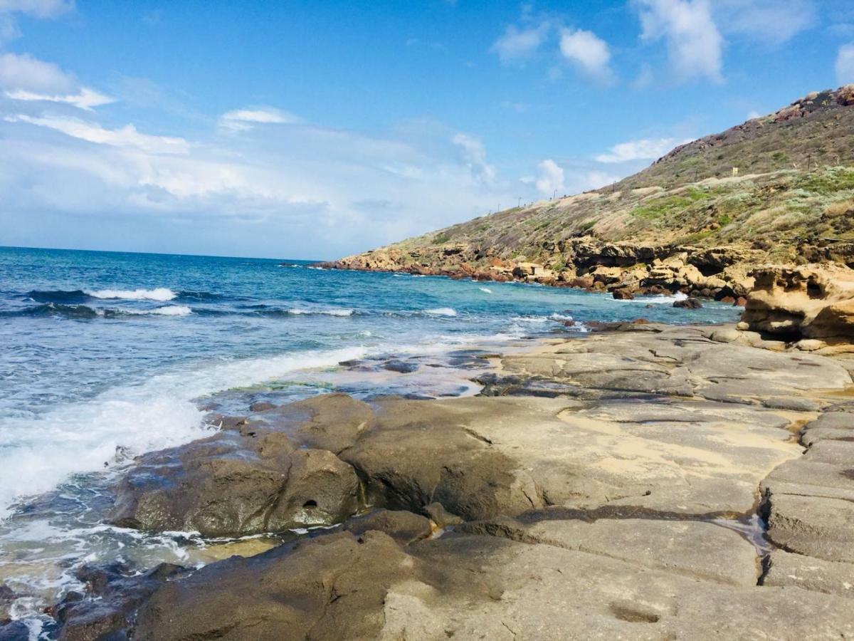 Asinara 2 Daire Castelsardo Dış mekan fotoğraf